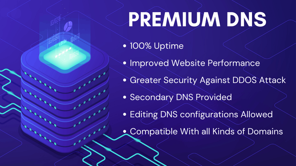 12. Premium dns