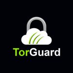 Tor Guard logo