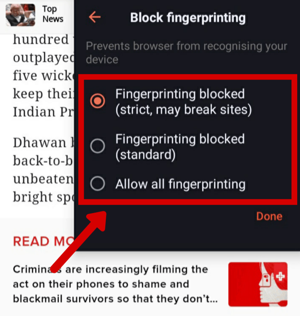 brave fingerprinting blocked