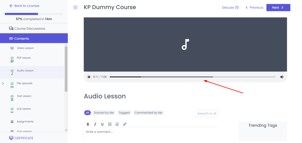 Student interface audio lessons