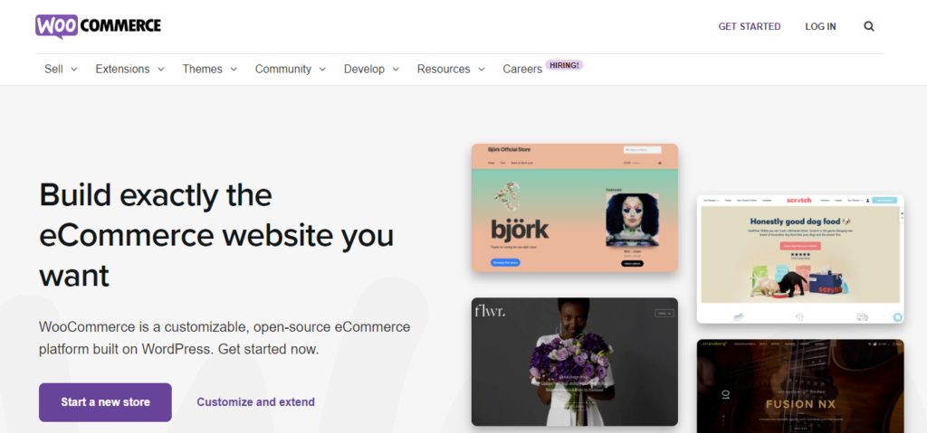 WooCommerce homepage