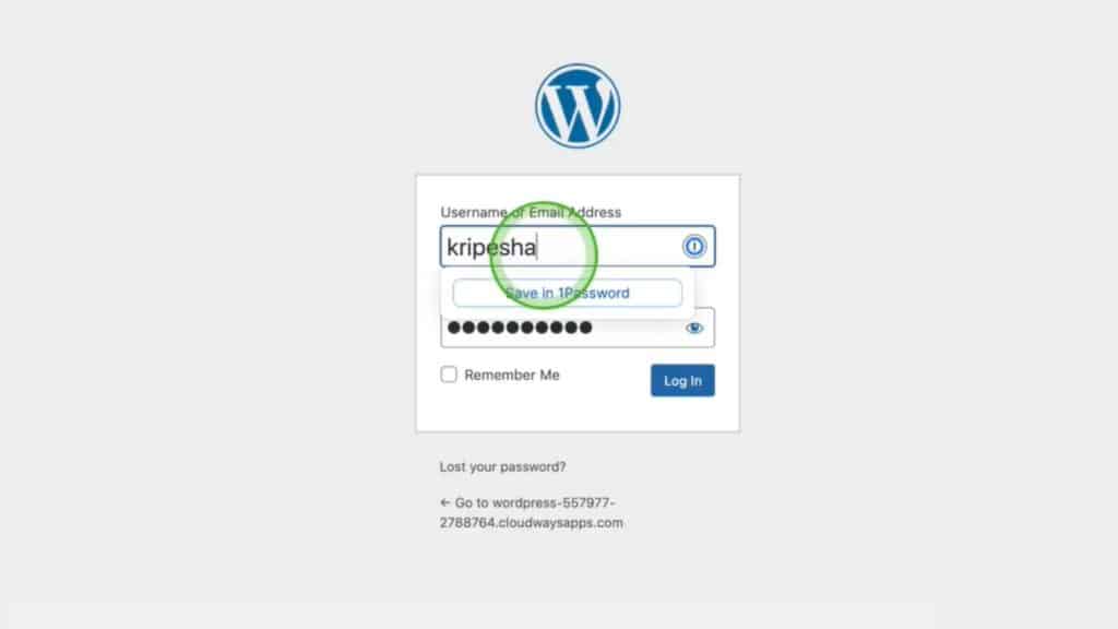 Logging in to WordPress