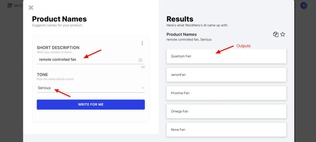 WordHero Product Names - Serious tone