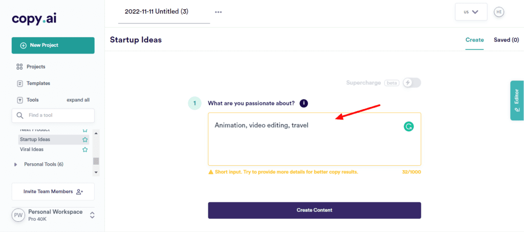 CopyAI Startup Ideas Input