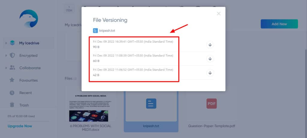 Icedrive File Versioning