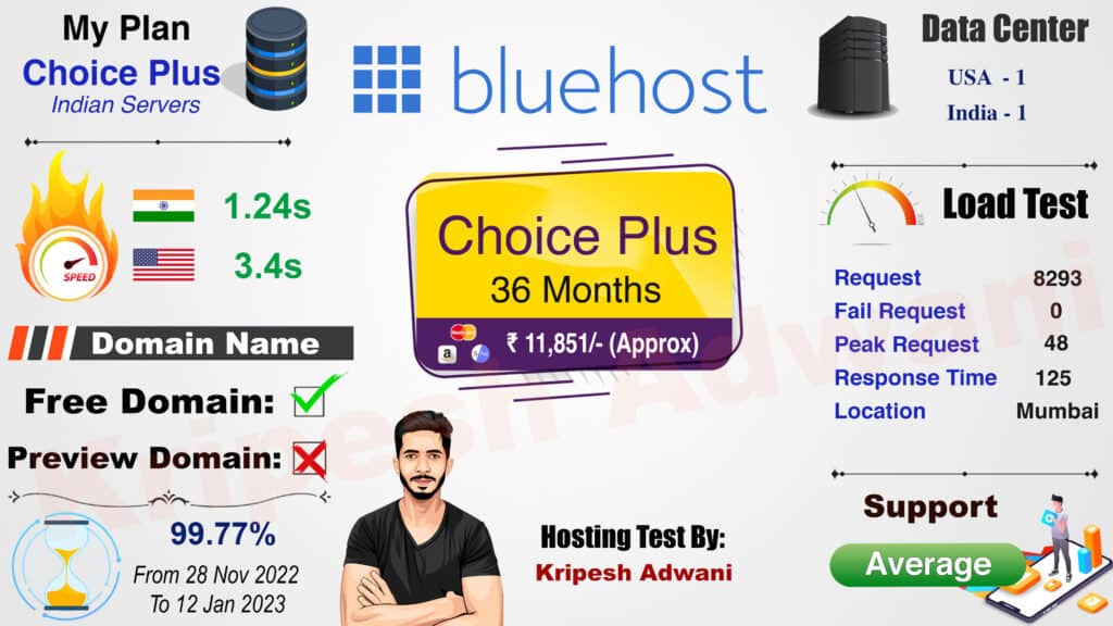 Bluehost infographic