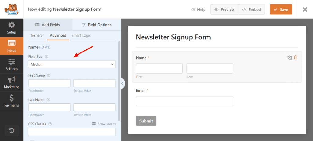 WPForms-Customization-Options