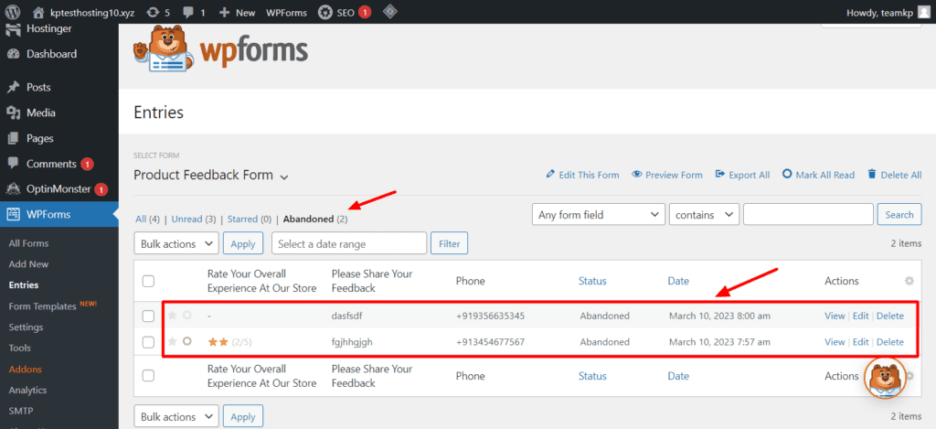 WPForms Form Abandoned Entries