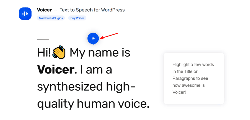 Voicer homepage
