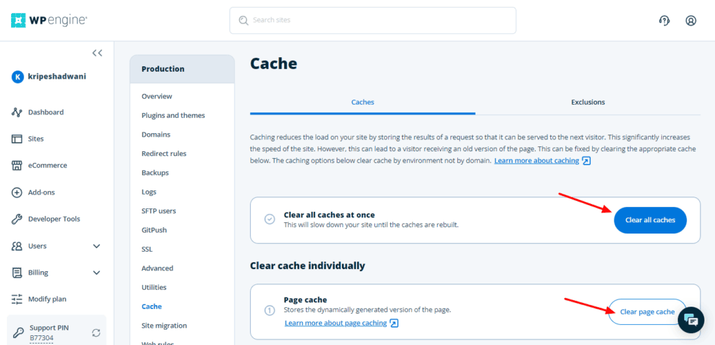 WP Engine cache settings