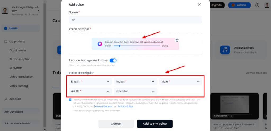 DupDub instant AI voice cloning settings