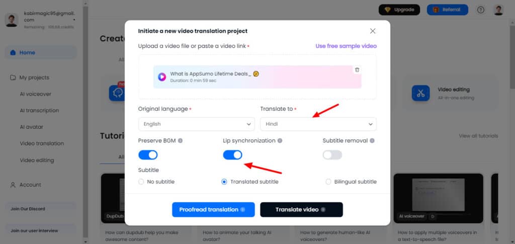 DupDub video translation settings