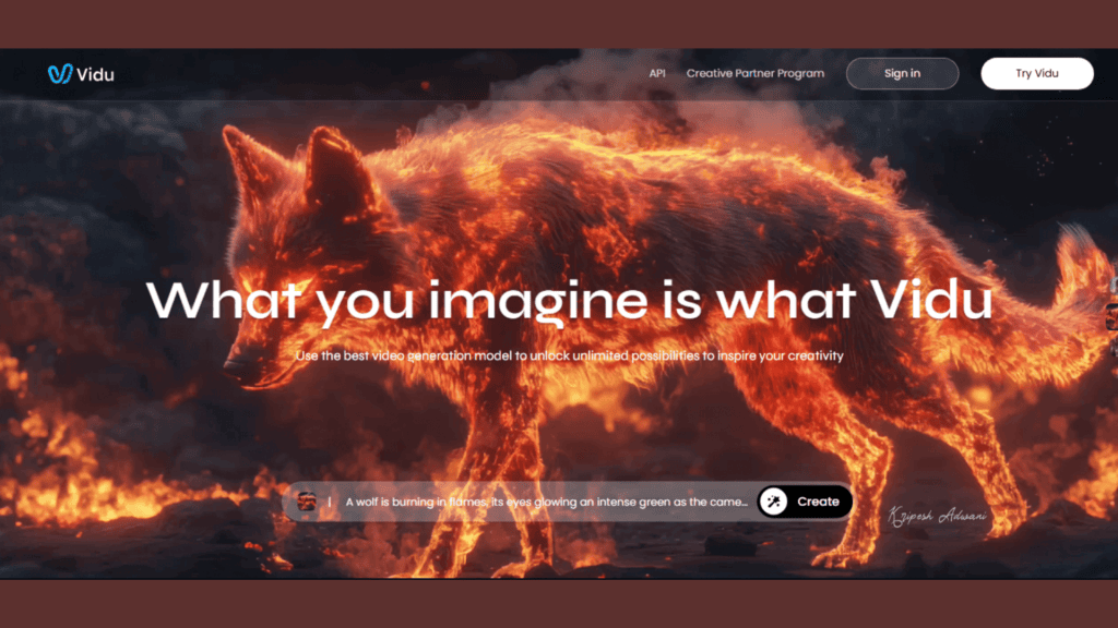 Vidu Homepage